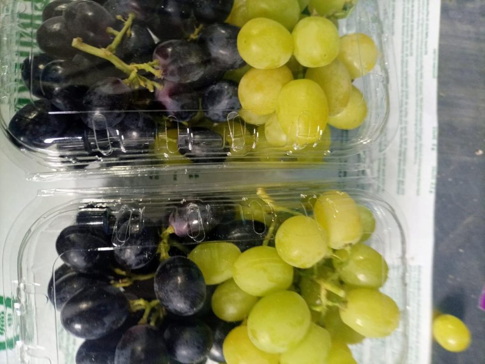 العنب - الصورة 3